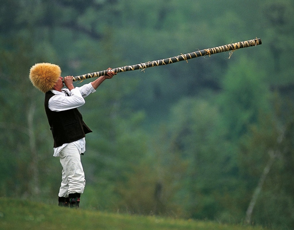 Instrument-busin-Homolje1-1024x8021 - Serbia.com