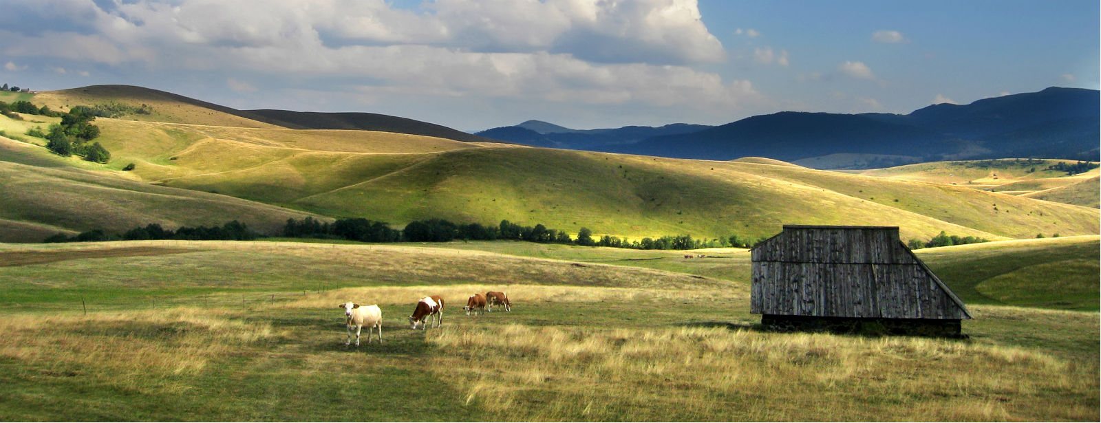 Fruška gora - once an island, now a mountain - Serbia.com