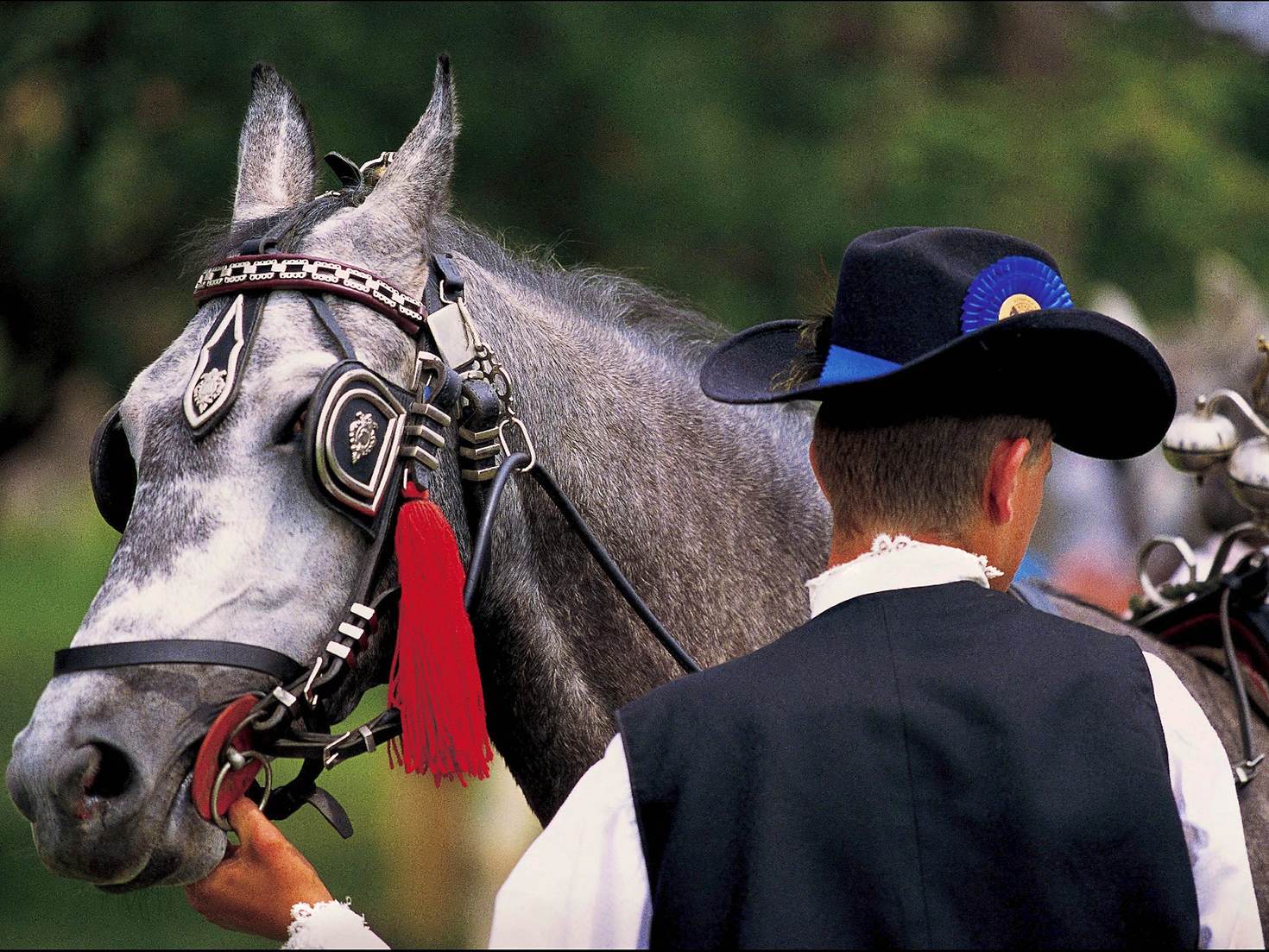 horse-riding-vojvodina-serbia_cs-fa609e94fb7a